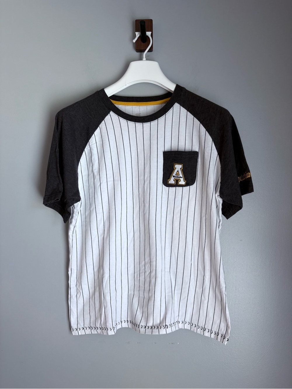 Colosseum Appalachian State Mountaineers Pinstripe Raglan T-Shirt - Large